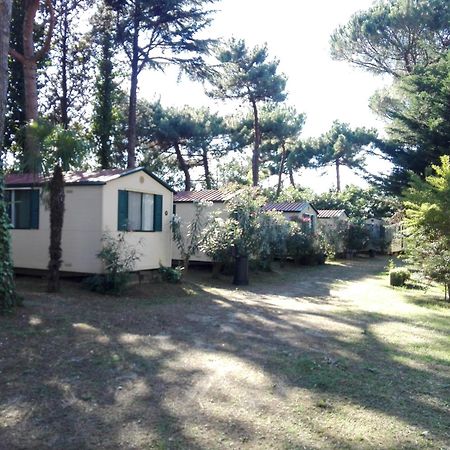 Villaggio Mithos Misano Adriatico Bagian luar foto